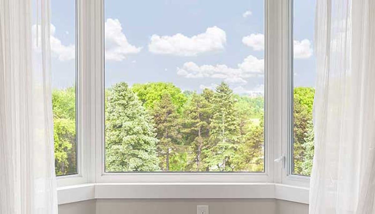 Large picture window showcasing expansive outdoor view with trees and clear skies
